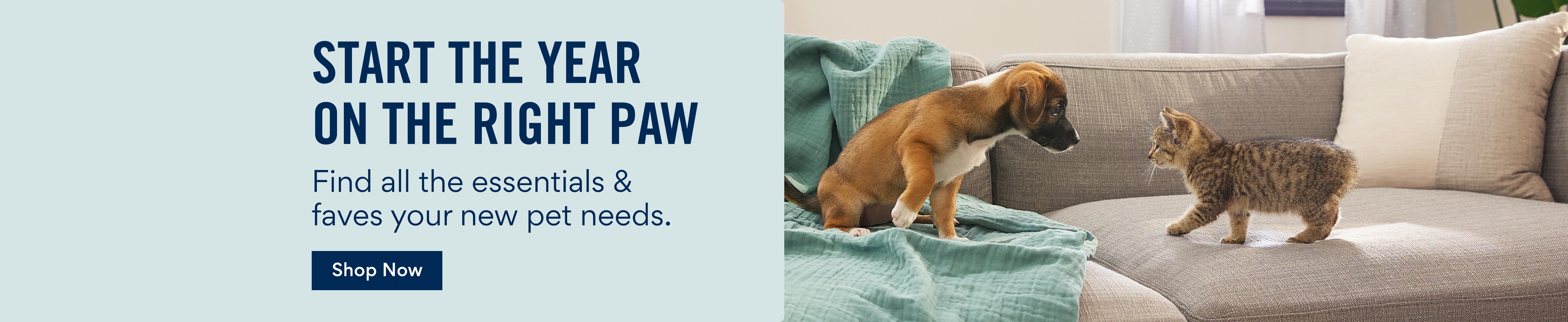 Start the year on the right paw find all the essentials & favs your new pet needs.
